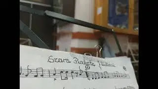 Orkiestra Dęta OSP Białobrzegi - Szara Piechota