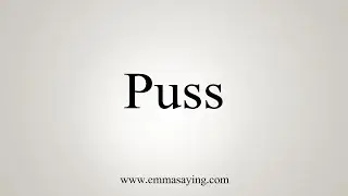 How To Say Puss