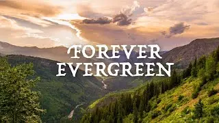 Forever Evergreen - Lyric Version
