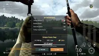 Fishing Planet - Weeping Willow - Grass Carp Unique