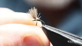 Veniard - Tying an Emerger Midge with Steven Shorrock