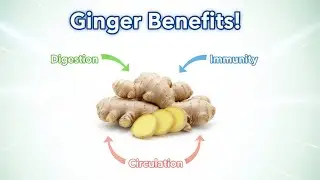 Eat Ginger Daily: Amazing Benefits You Never Knew!