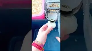 Automatic Garlic Peeling Machine! Faster & More Efficient #shorts