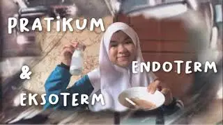 Pratikum Reaksi Endoterm dan Eksoterm