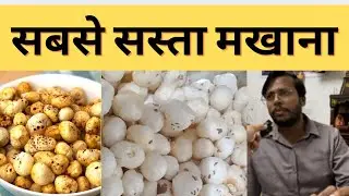 Wholesale Makhana Market | Cheapest Makhana Market | Best Makhana | Makhana Business | Makhana 