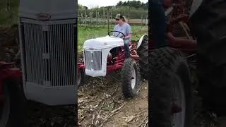 1950 Ford 8N. #farmlife #agriculture #ford #farming