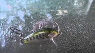 Обзор приманки - Rapala CD-01