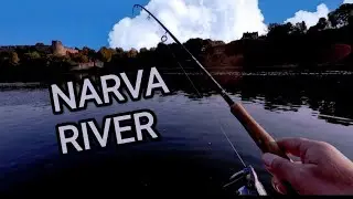 Река Нарва.Ловим лосося.Попытка номер два.