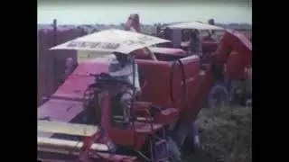 Cardiff Brothers Harvest 1954