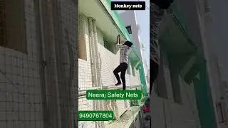🐒 Monkey Safety Nets for Homes & Buildings | Protect Your Space from Monkeys 🏠