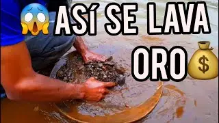 como lavar oro en batea