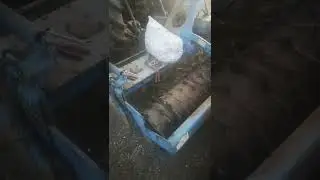 Rabe mke300