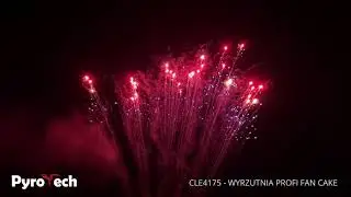 CLE4175