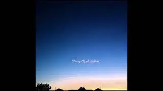 Labrat Nomad - Diary Of A Labrat