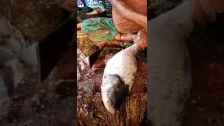 WOW!! 5KG Huge Big Rohu fish Cutting Skills 😍 Part-2 | #Shorts