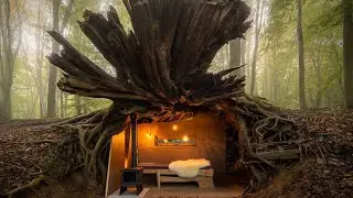 ASMR She Builds a Cozy House Inside a Tree Stump