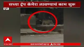 Pune Leopard : पुण्यात पुन्हा दिसला बिबट्या, वनविभागाची माहिती