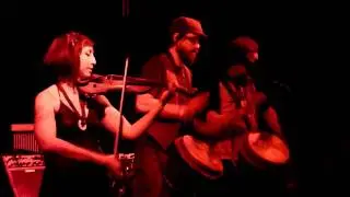 The Ragbirds 