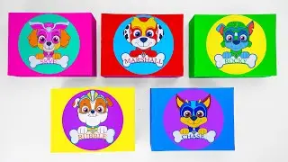 ASMR 66+ Minutes PAW PATROL Mega Mystery Box Unboxing Toy!! Satisfying Unboxing (No Talking)