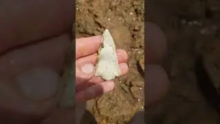 Super serrated Missouri early archaic point. 5-23-21