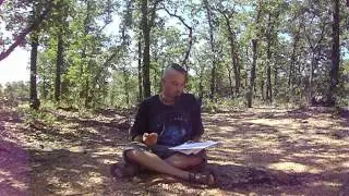 Otherkin/Pagan Author