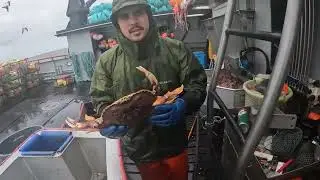 big dungeness crab 2024 season