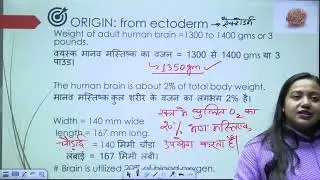 Lecture    Nervous System    तंत्रिका तंत्र Part 01
