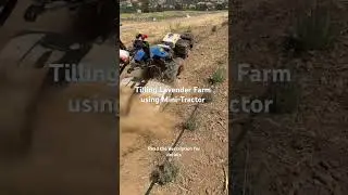 Tilling Lavender Farm
