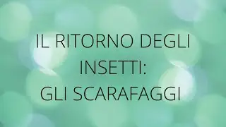 IL RITORNO DEGLI INSETTI: SCARAFAGGIO II TWITCH CRIME BUGALALLA