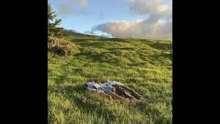 [FREE] indie chill guitar type beat ~ 