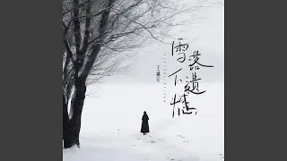 雪落下遗憾