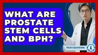 What Are Prostate Stem Cells And BPH? - Prostate Health Network