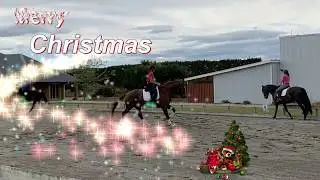 Dressage Academy (+Hellsy) Xmas 2019
