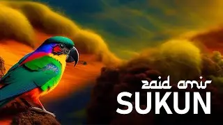 Zaid Amir - Sukun (2024)