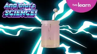 How to Make an Electroscope | And That's Science! | TVO Learn