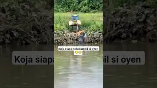 Funny Behavior of Orange Cat Taking Angler's Fish 😂😂 #anabul #cat#animals#animalshorts#funny#foryou