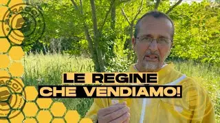 Dalle Regine Vergini alle Super Fattrici   Ecco cosa Vendiamo!
