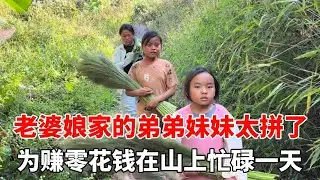 老婆娘家的弟弟妹妹太拼了，为赚零花钱在山上忙碌一天，真不容易！【老挝媳妇杨芭菇】