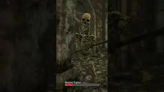 Skeleton fight in dungeon #gameplay #rpg #retrogaming #dungeon #monster #sword #actionrpg #skeleton