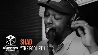 Shad - 