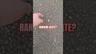 Do random agates just spawn out of thin air? #gross #mistakes