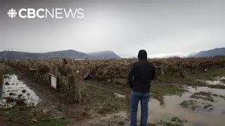 Abbotsford businesses affected by flooding