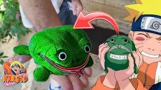 🐸¡ASÍ es GAMA-CHAN (RANA-MONEDERO de NARUTO) en la VIDA REAL!🐸 | sabelotodo en Konoha