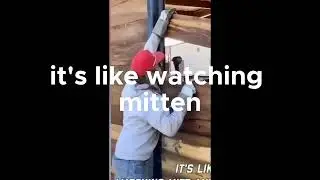 Epic Fails and Laughs  From Mitten MUD Mishaps to Daring Dog Rescues!