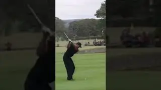 Tiger Woods 2002 Swing - 9 iron