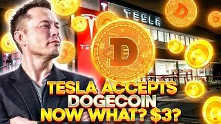 Dogecoin + Tesla Q1, Q2 Expectations | To The Moon? | Dogecoin News