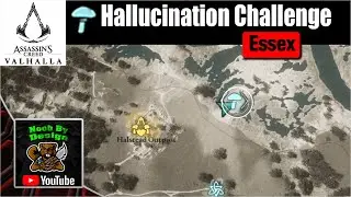 Essex Fly Agaric Hallucination Challenge - Assassins Creed Valhalla