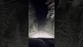 Лесная дорога на Хутор🌲 #банныйтуризм