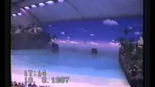 Seagaia Ocean Dome 日間表演