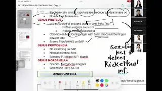 Bacte Lec   Oct 8   Enterobac Continuation